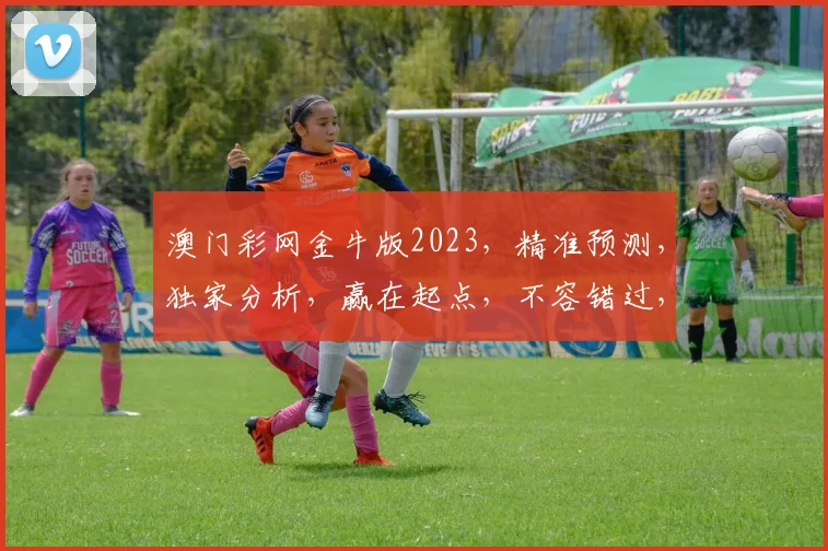 澳门彩网金牛版2023，精准预测，独家分析，赢在起点，不容错过，必看攻略